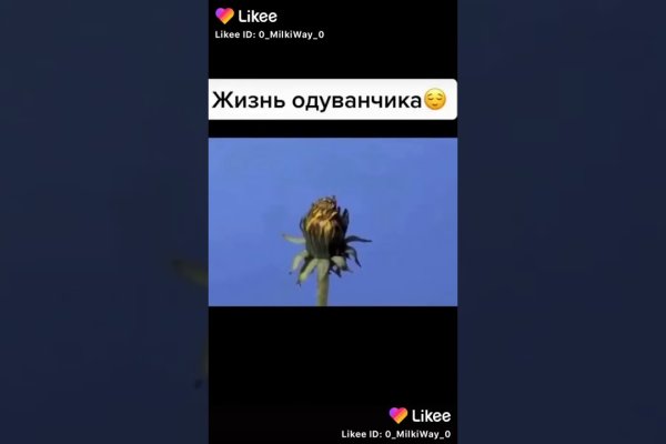 Кракен даркнет krawebes
