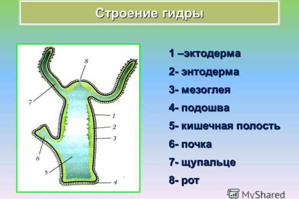 Кракен наркошоп сайт